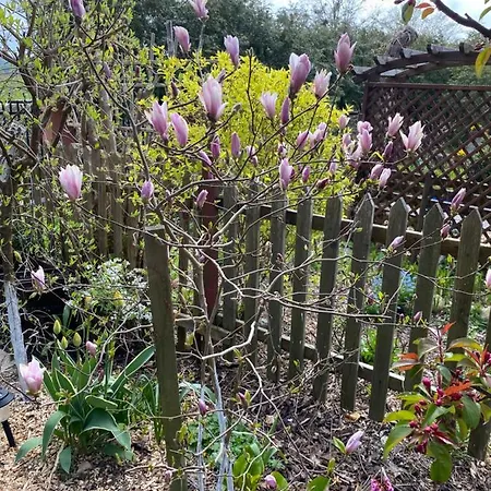 Goscinne Renata Knitter *