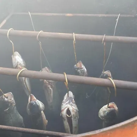 Kwatera prywatna Gościnne Renata Knitter Komnino