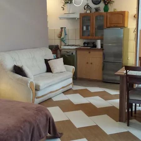 Goscinne Renata Knitter