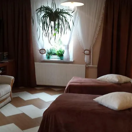 Goscinne Renata Knitter Homestay Komnino