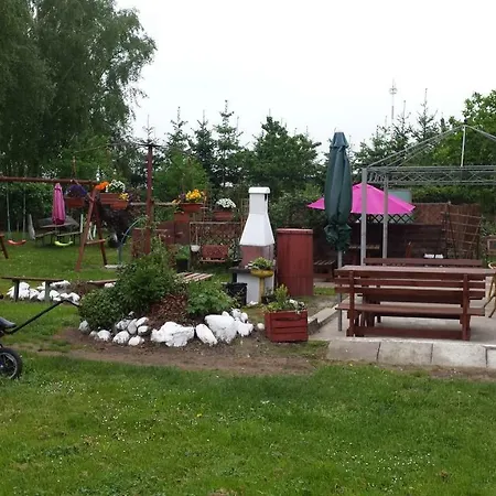 Goscinne Renata Knitter