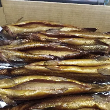 Goscinne Renata Knitter * Komnino