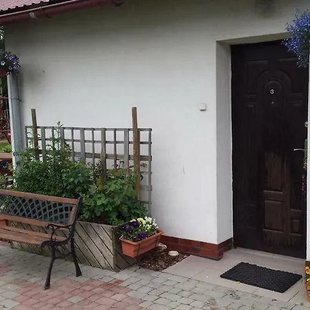 Goscinne Renata Knitter