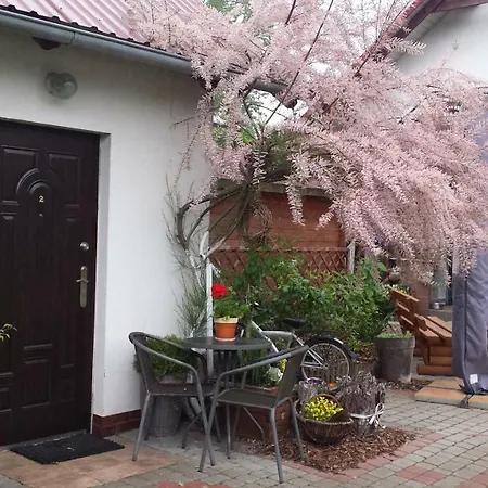 Goscinne Renata Knitter Homestay
