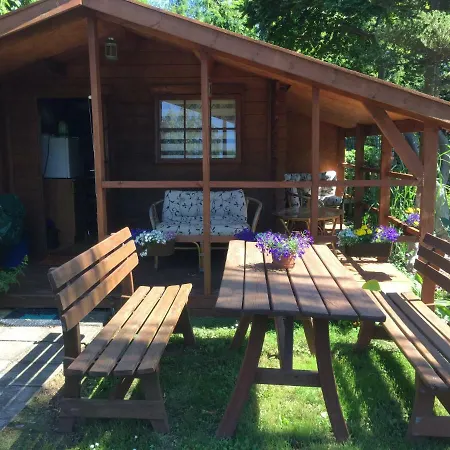 Goscinne Renata Knitter Homestay