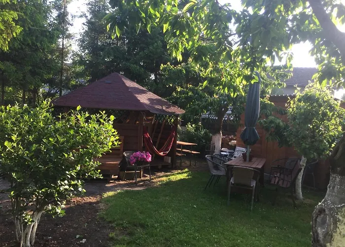 Gościnne Renata Knitter *