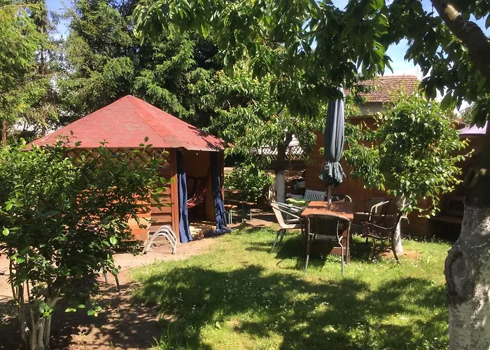 Gościnne Renata Knitter *