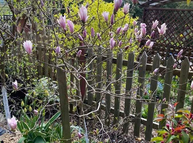 Gościnne Renata Knitter *